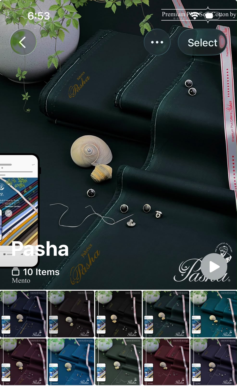 PASHA Brand  Soft Cotton - PREMIUM PLUS